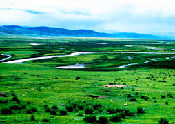 109645-00969_�����������(�ż���)